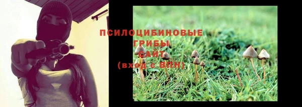 спиды Заволжск