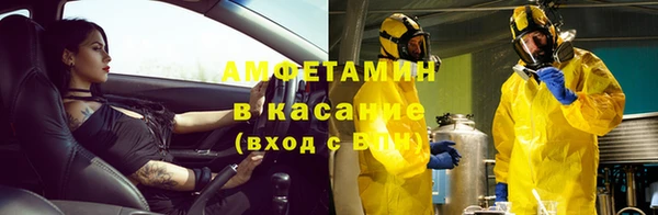 сатива Заволжье