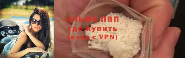 сатива Заволжье
