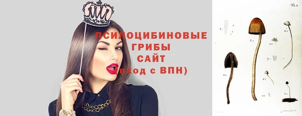 прущая мука Инта