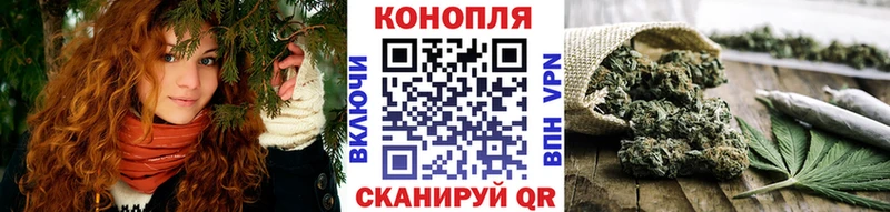 Бошки Шишки планчик  Лебедянь 